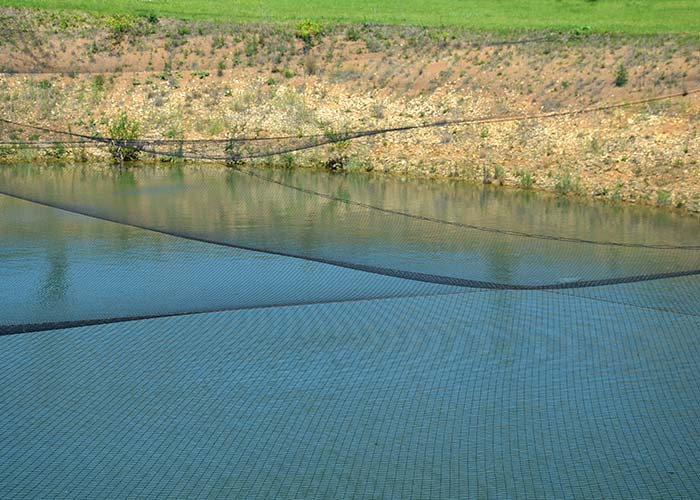 Ein Teichnetz ist über einem Teich gespannt um das Wasser sauber zu halten